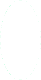 Left oval 2